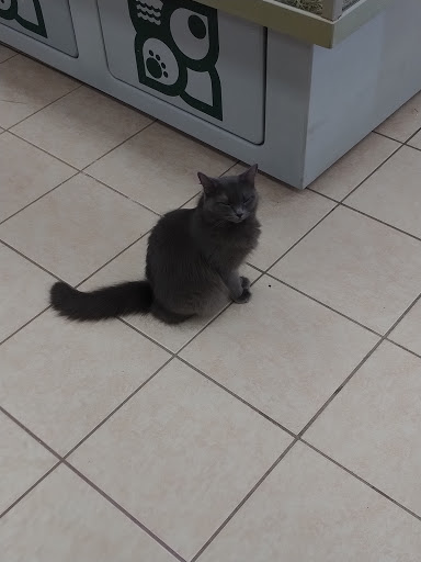 Pet Supply Store «Bushnell Feed & Pet Supply», reviews and photos, 8056 C 476B, Bushnell, FL 33513, USA