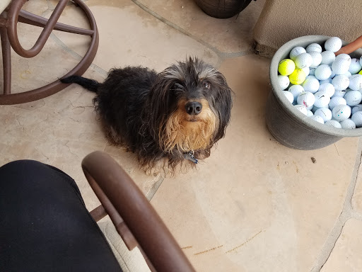 Golf Course «Raven Golf Club - Phoenix», reviews and photos, 3636 E Baseline Rd, Phoenix, AZ 85042, USA