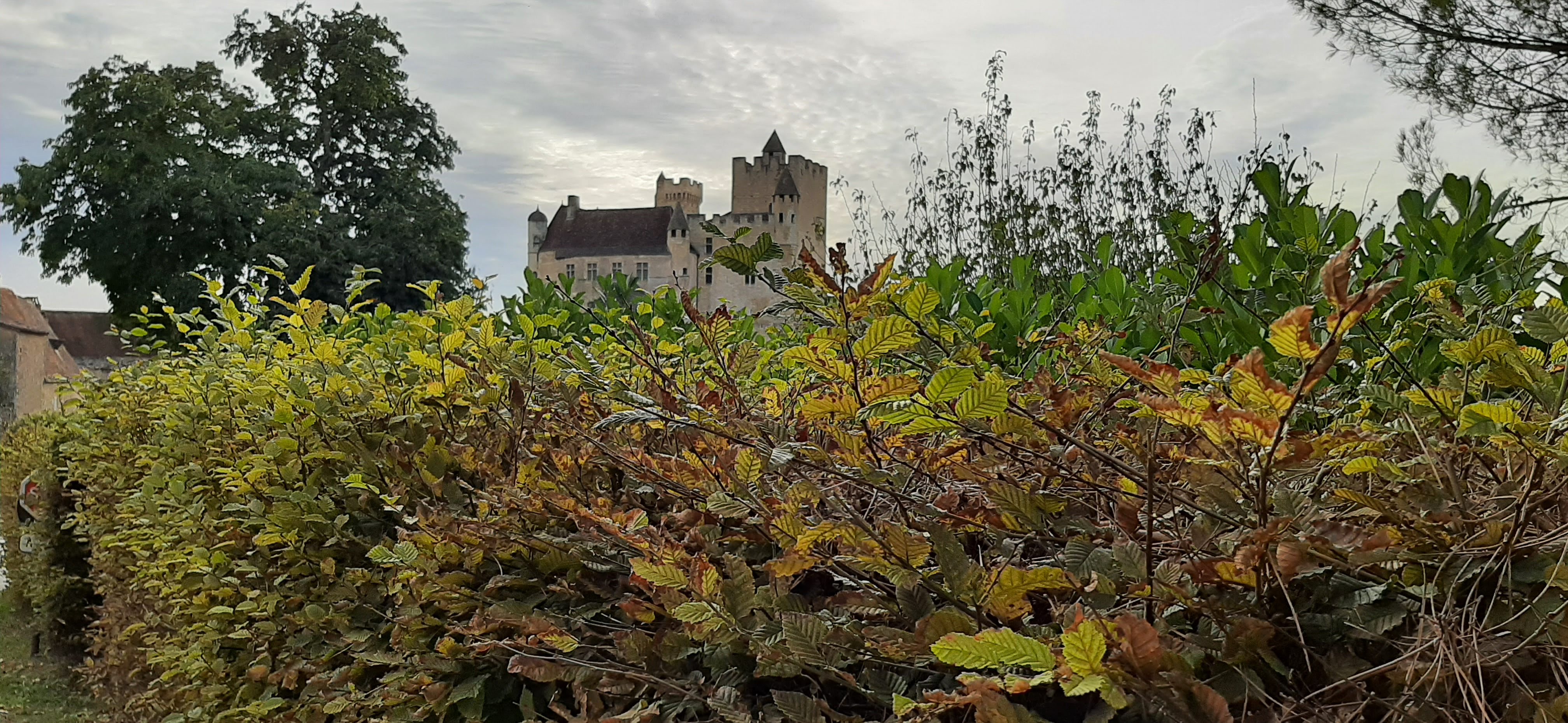 Photo n° 6 de l'avis de Françoise.E fait le 23/10/2023 à 06:01