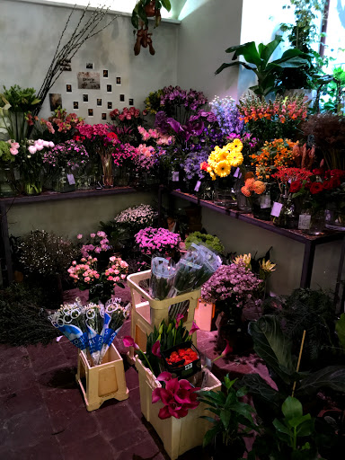 luka:sh : květinová dílna : obchod květinami