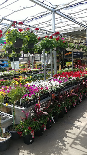 Home Improvement Store «The Home Depot», reviews and photos, 4302 N Oracle Rd, Tucson, AZ 85705, USA