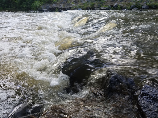 Park «Ellanor C. Lawrence Park», reviews and photos, 5040 Walney Rd, Chantilly, VA 20151, USA