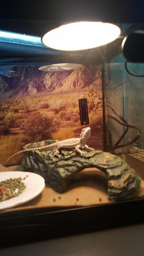 Pet Store «PetSmart», reviews and photos, 10451 Baltimore St NE, Blaine, MN 55449, USA