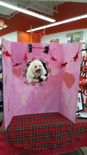 Pet Supply Store «Unleashed by Petco», reviews and photos, 6 Shipyard Dr #1f, Hingham, MA 02043, USA