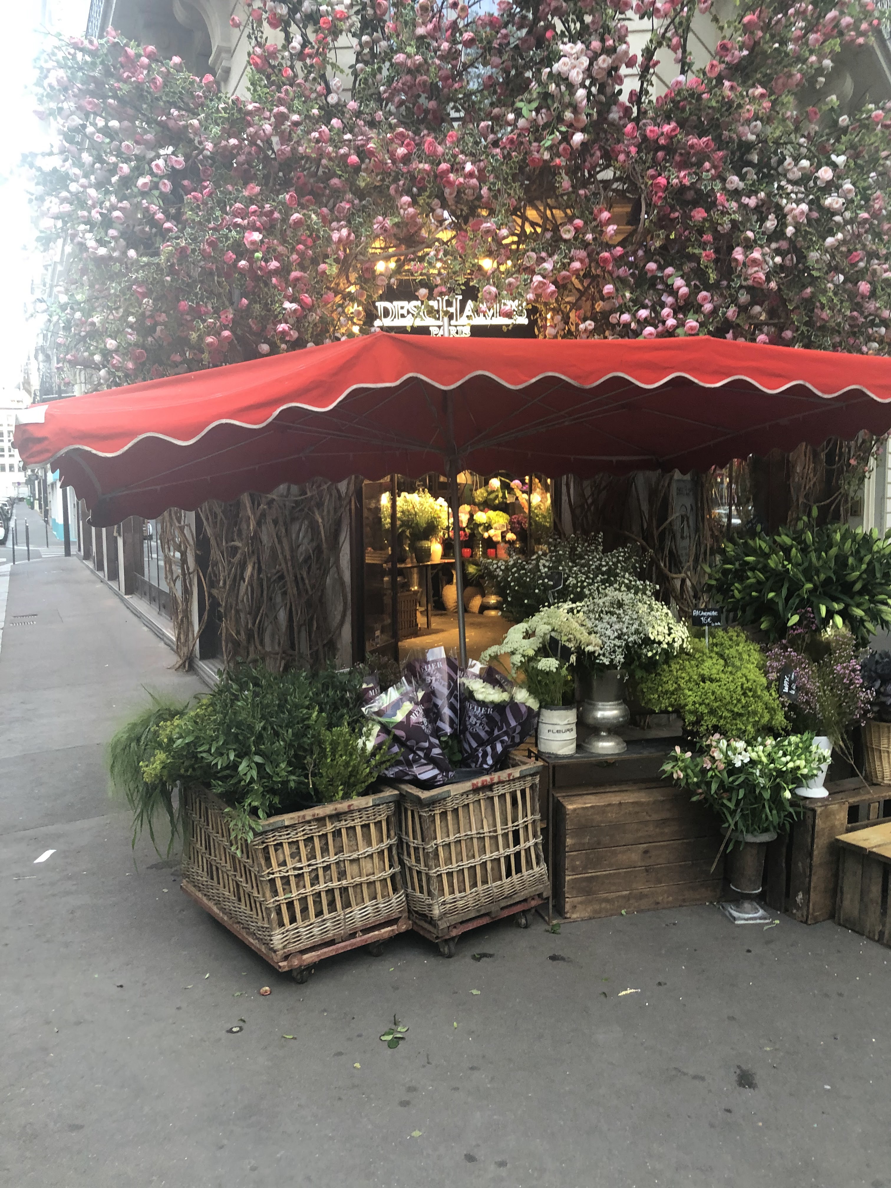 Photo n° 12 de l'avis de Mia.e fait le 03/09/2022 à 17:42