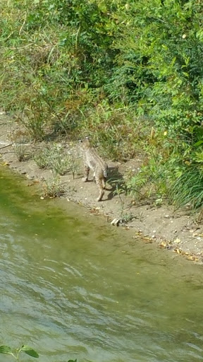 Golf Course «Sherrill Park Golf Course», reviews and photos, 2001 E Lookout Dr, Richardson, TX 75082, USA