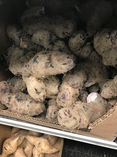 Asian Grocery Store «My Hoa Oriental Food Market», reviews and photos, 454 Azalea Rd, Mobile, AL 36609, USA