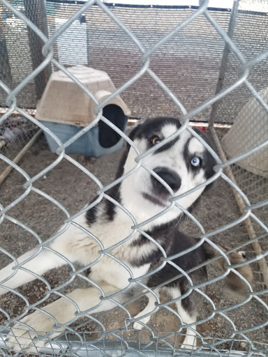 Animal Shelter «BrightSide Animal Center (formerly Humane Society of Redmond)», reviews and photos