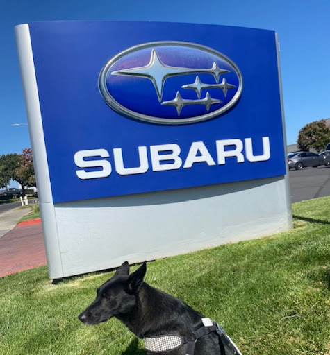 Subaru Dealer «Elk Grove Subaru», reviews and photos, 8581 Laguna Grove Dr, Elk Grove, CA 95757, USA