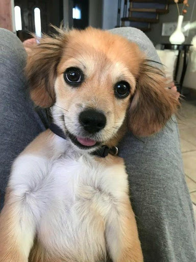 Electronics Store «Best Buy», reviews and photos, 445 Howe Ave, Cuyahoga Falls, OH 44221, USA