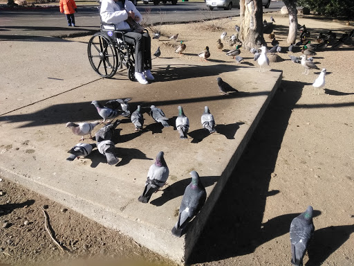 Nature Preserve «Virginia Lake», reviews and photos, 1980 Lakeside Dr, Reno, NV 89509, USA