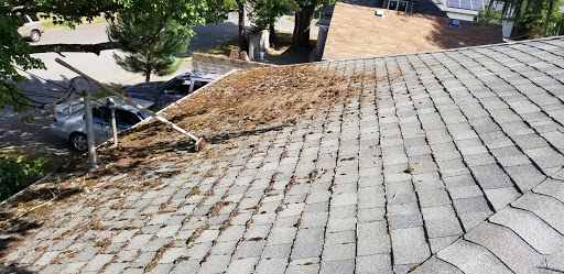 Roofing Contractor «The Portland Roofers», reviews and photos