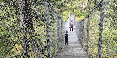 Haslam Creek Suspension Bridge