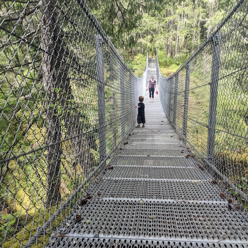 Haslam Creek Suspension Bridge