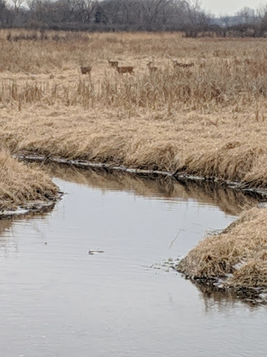 Nature Preserve «Rock Run Preserve - Black Road Access», reviews and photos, Black Rd, Joliet, IL 60431, USA