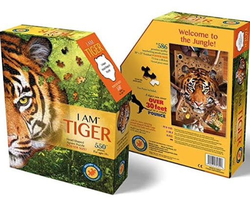 Toy Store «Kidz for Life Toys and Games», reviews and photos, 147 Lighthouse Rd, Hilton Head Island, SC 29928, USA