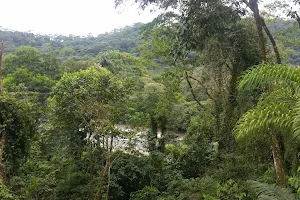 Parque Nacional Carrasco image