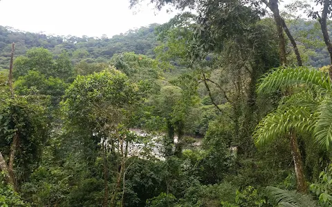 Parque Nacional Carrasco image