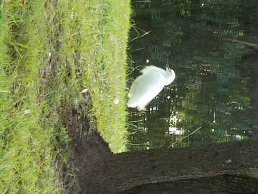 Golf Course «Heron Lakes Golf Course», reviews and photos, 7910 North Sam Houston Pkwy W, Houston, TX 77064, USA