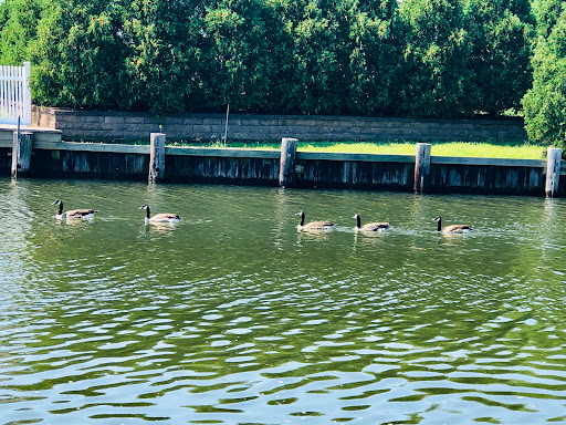 Park «John J Burns Park», reviews and photos, 4990 Merrick Rd, Massapequa Park, NY 11762, USA