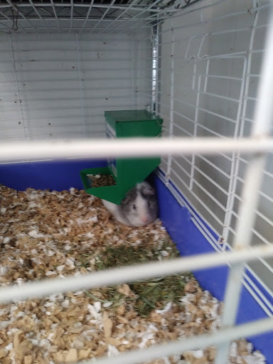 Pet Store «Animal Instincts Aquarium and Pet Center», reviews and photos, 811 Plymouth Ave, Fall River, MA 02721, USA