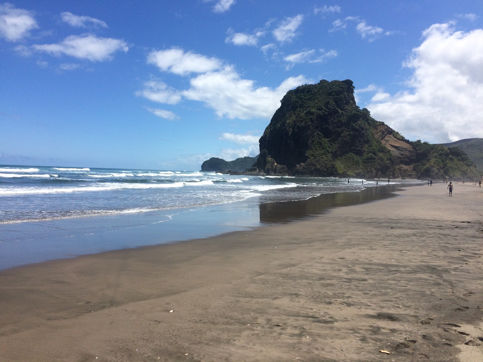 Photo of Piha Beach and the settlement