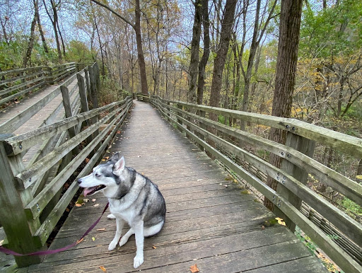 Nature Preserve «Starkey Park», reviews and photos, 667 Sugarbush Dr, Zionsville, IN 46077, USA