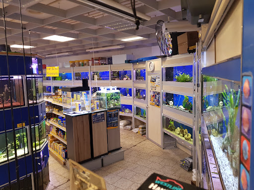 Robby-Der Zoomarkt GmbH unter Wirges, 