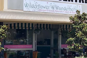 Wilderflower & Wanderberries image