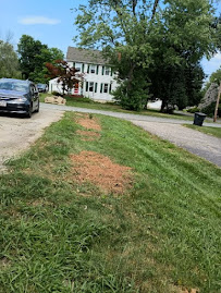 Firewood Unlimited Tree Service, Landscaping - Photo 8 - Car repair in Clinton, MD, Alexandria