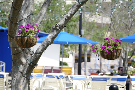 Park «Curtis Hixon Waterfront Park», reviews and photos, 600 N Ashley Dr, Tampa, FL 33602, USA