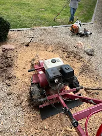 ss & m landscaping - Car repair in , Tempe - Rated 5.0/5