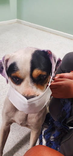 Pet Supply Store «Big Tex Feed & Pet Supply», reviews and photos, 7102 Cullen Blvd, Houston, TX 77021, USA