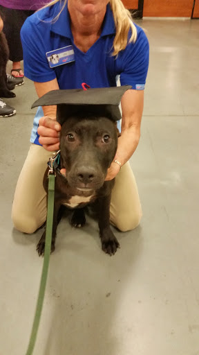 Pet Supply Store «PetSmart», reviews and photos, 1705 Mall of Georgia Blvd, Buford, GA 30519, USA