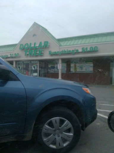 Dollar Store «Dollar Tree», reviews and photos, 276 State St, Brewer, ME 04412, USA