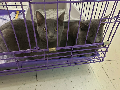 Pet Supply Store «Pet Supplies Plus», reviews and photos, 1258 Northlake Blvd, Lake Park, FL 33403, USA