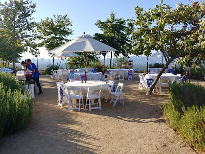 Parlani Party Rentals
