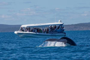 Pacific Whale Foundation Australia image