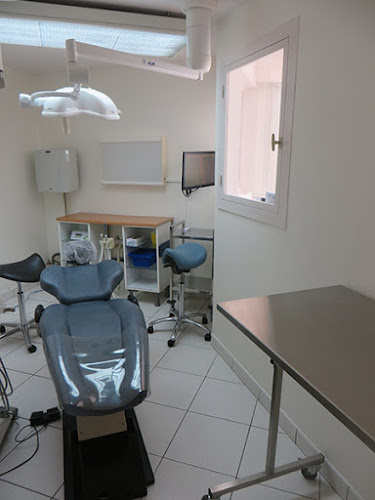 Opinii despre Mounier-Roger Cécile în Angers - Dentiste