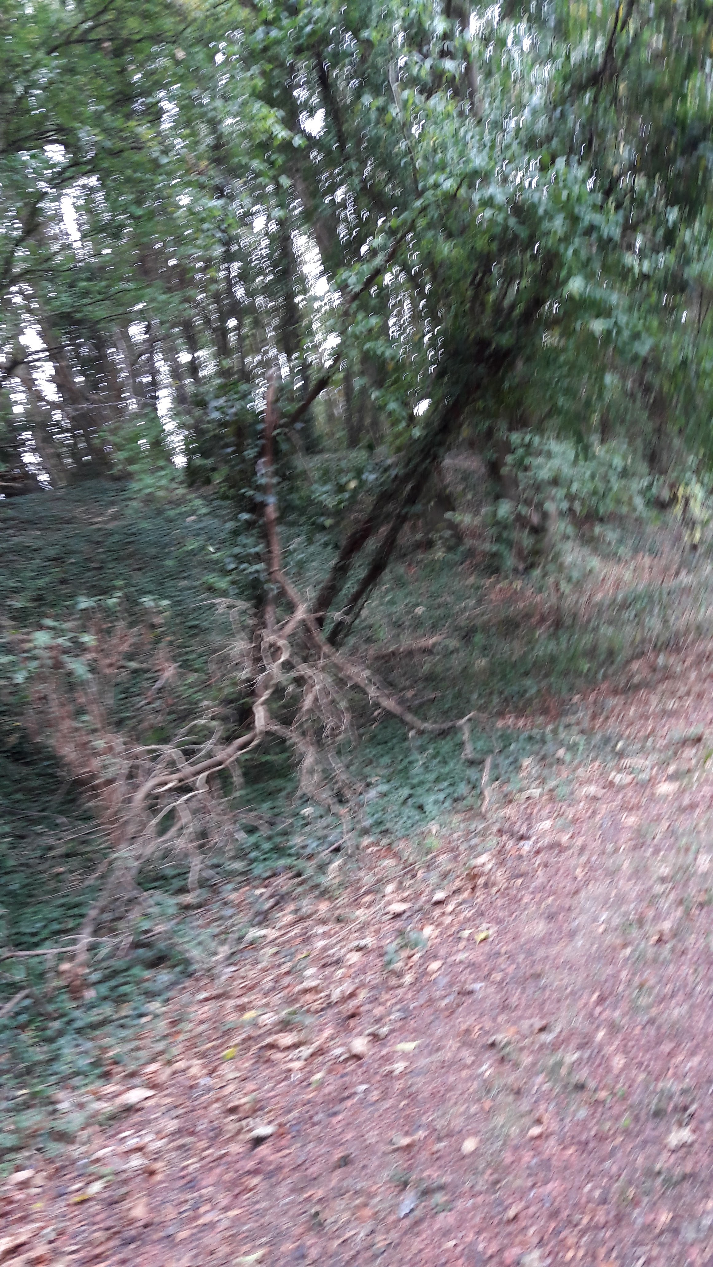 Photo n° 19 de l'avis de Alfa.l fait le 12/09/2019 à 04:09