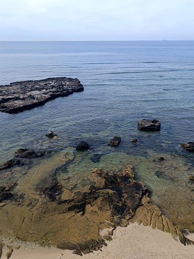 Top 20 cửa hàng akemi Huyện Lý Sơn Quảng Ngãi 2022