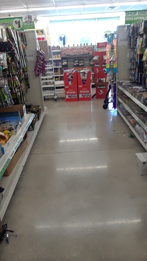 Dollar Store «Dollar Tree», reviews and photos, 11530 W Sample Rd, Coral Springs, FL 33065, USA