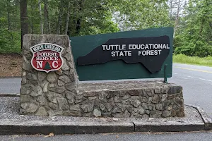 Tuttle Educational State Forest image