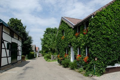 Photos of Bed and Breakfast en Ecotuin Keutenberg