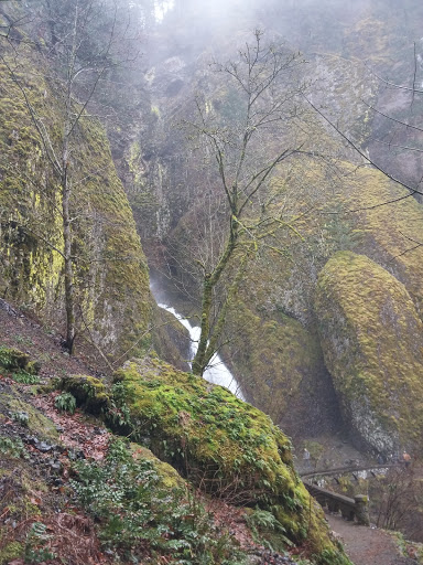 Tourist Attraction «Wahkeena Falls», reviews and photos, Wahkeena Trail #420, Corbett, OR 97019, USA