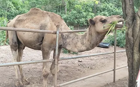 Khao Prathap Chang Open Zoo image