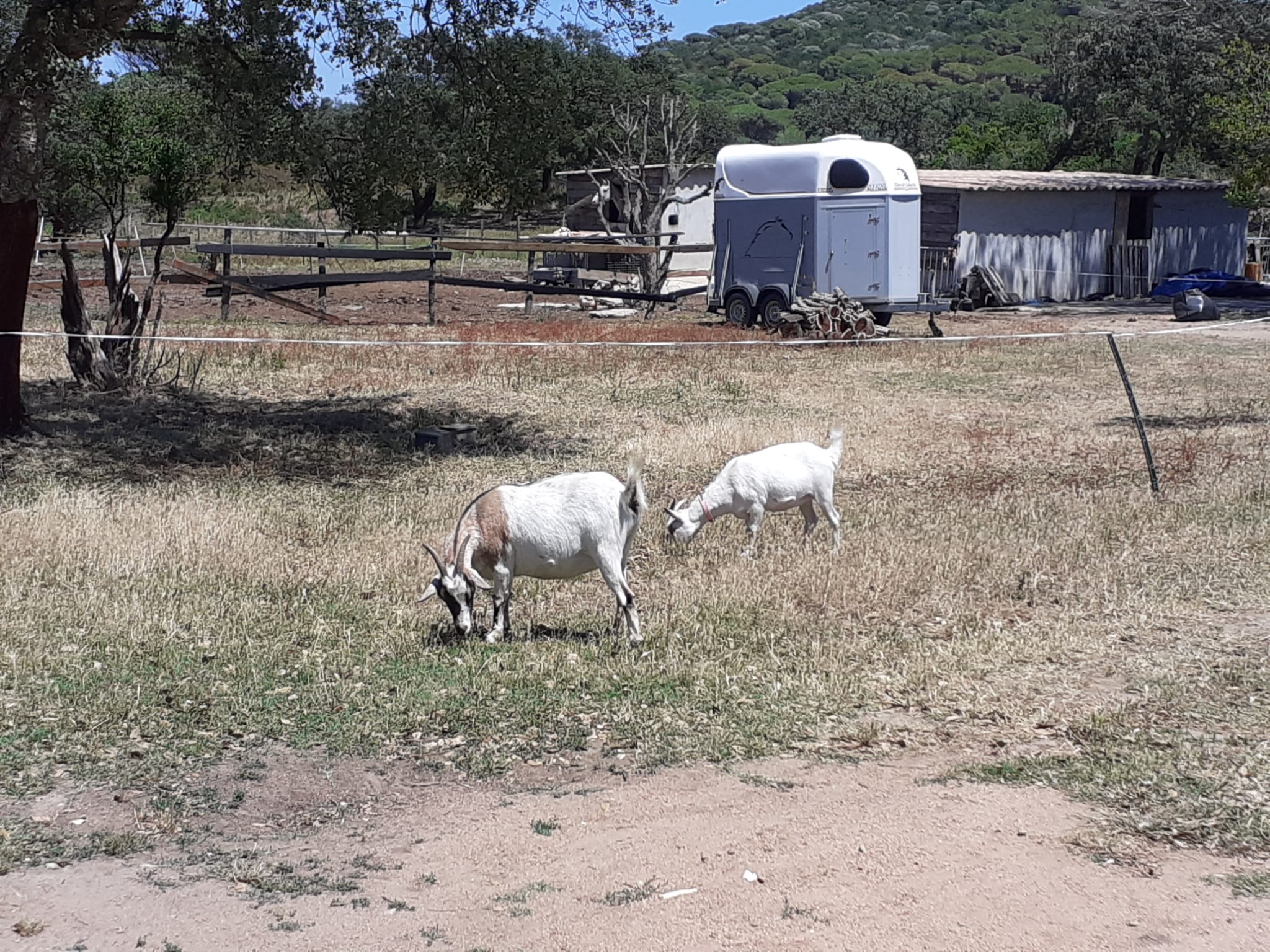 Photo n° 2 de l'avis de Dario.u fait le 18/06/2020 à 17:41
