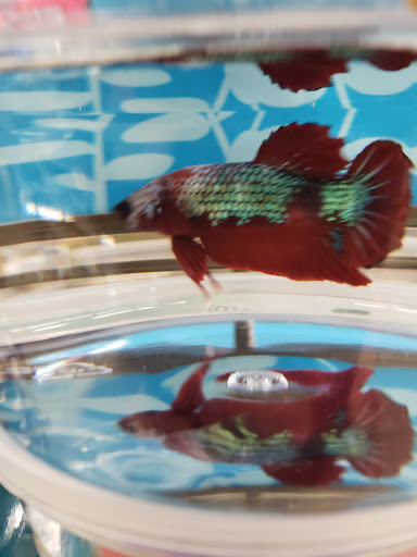 Pet Supply Store «Petco Animal Supplies», reviews and photos, 525 S 5th St, Bismarck, ND 58504, USA