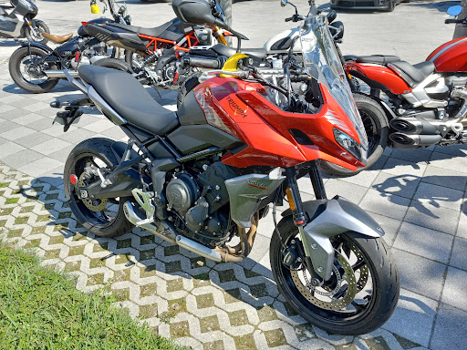 Motorcycle Dealer «Euro Cycles of Tampa Bay», reviews and photos, 8509 Gunn Hwy, Odessa, FL 33556, USA