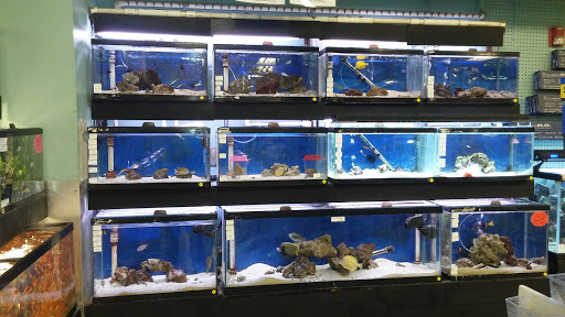 Pet Store «Petland Discounts - Union City», reviews and photos, 3147 John F. Kennedy Blvd, North Bergen, NJ 07047, USA